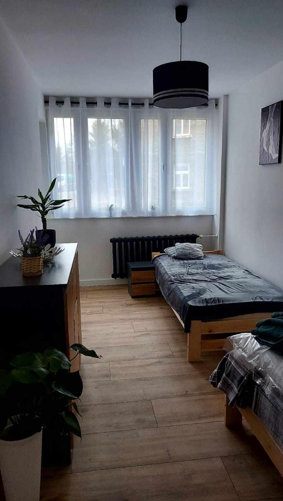 Apartament Iwona Kamienna Gora Exterior foto